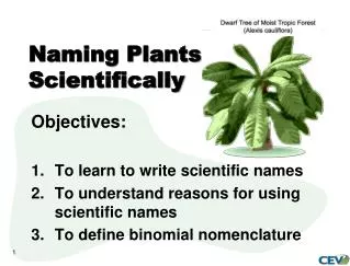 Naming Plants Scientifically