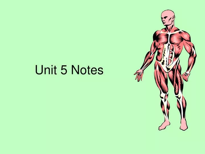 unit 5 notes