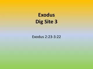 Exodus Dig Site 3