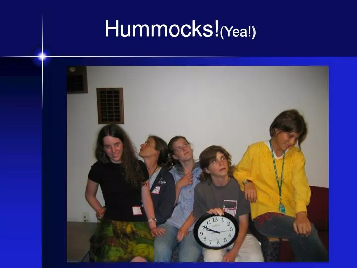 hummocks yea