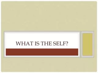 What is the self?