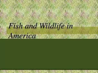 Fish and Wildlife in America