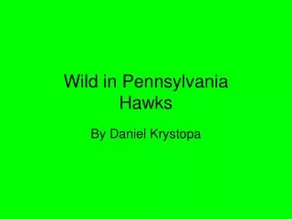 Wild in Pennsylvania Hawks