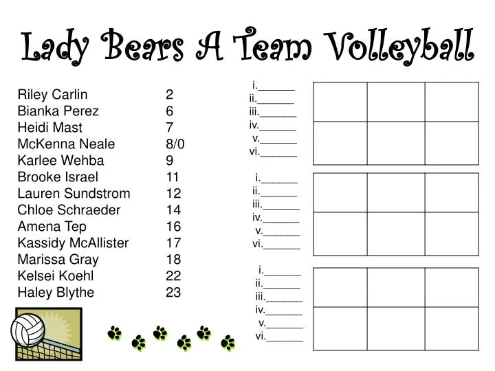 lady bears a team volleyball