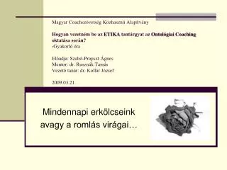 mindennapi erk lcseink avagy a roml s vir gai