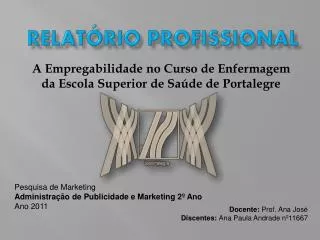 relat rio profissional