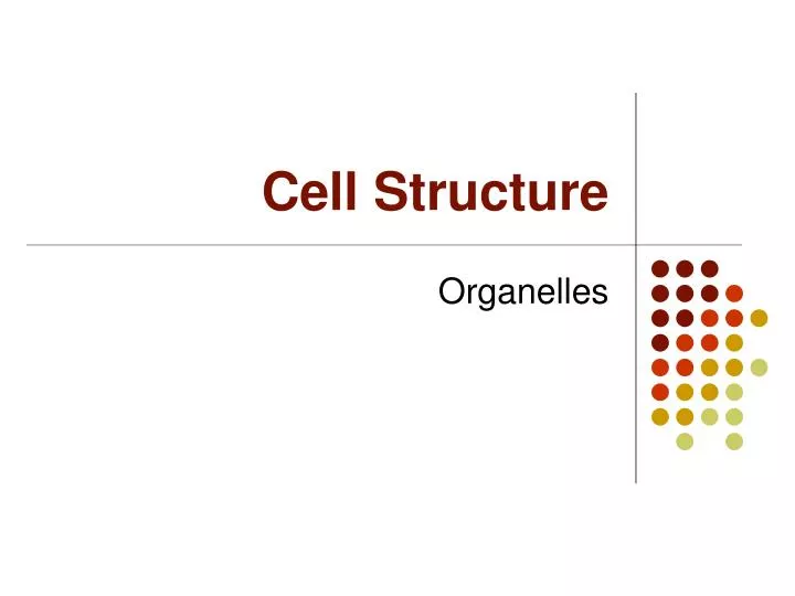 cell structure