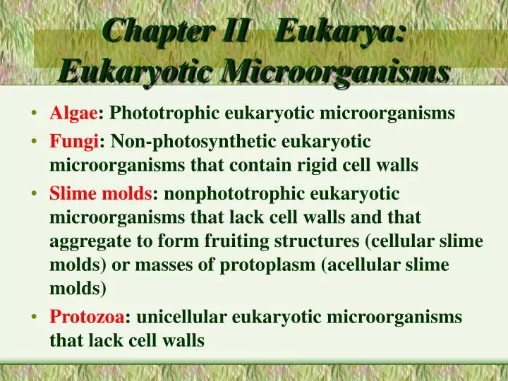 chapter ii eukarya eukaryotic microorganisms