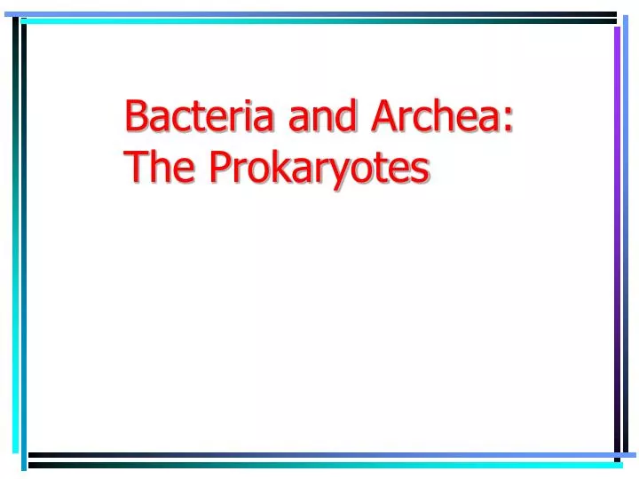 bacteria and archea the prokaryotes