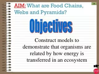 AIM: What are Food Chains, Webs and Pyramids?