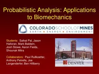 Probabilistic Analysis: Applications to Biomechanics