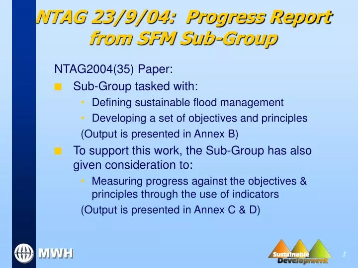ntag 23 9 04 progress report from sfm sub group