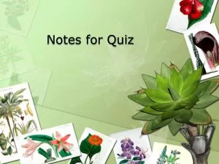 Notes for Quiz