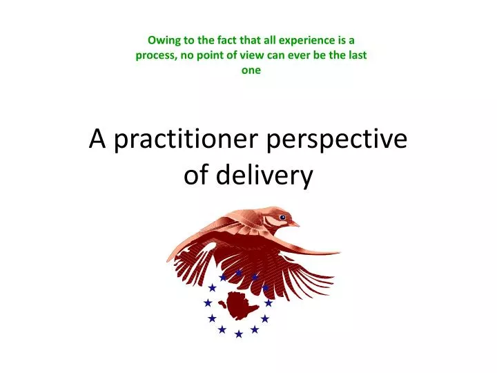 a practitioner perspective of delivery