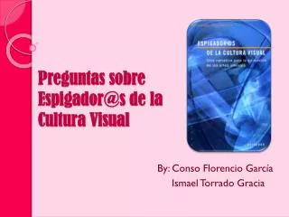 preguntas sobre espigador@s de la cultura visual