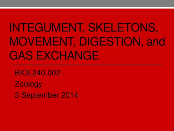 integument skeletons movement digestion and gas exchange