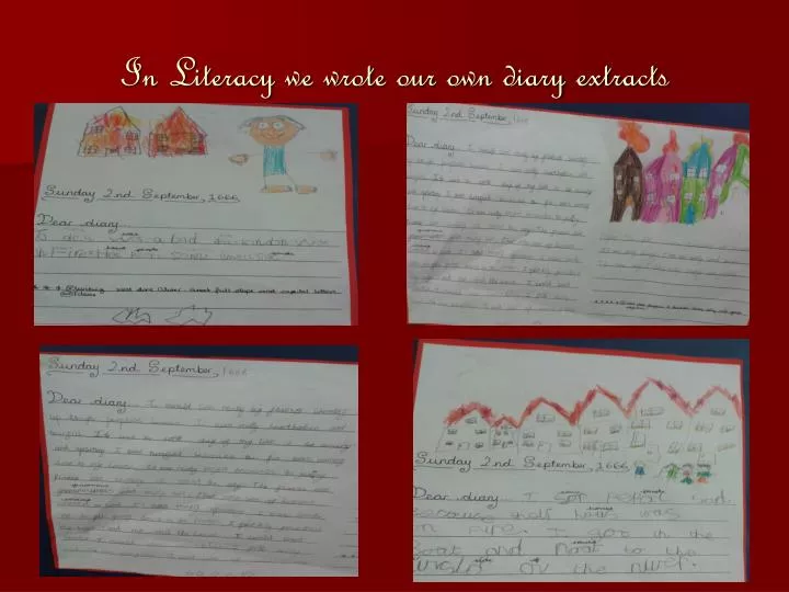 in literacy we wrote our own diary extracts