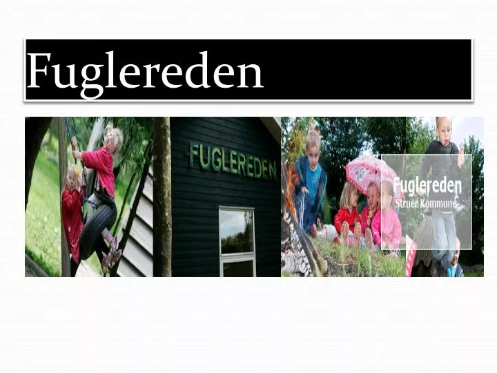 fuglereden