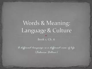 Words &amp; Meaning: Language &amp; Culture