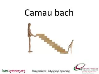 camau bach