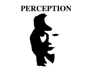 PERCEPTION