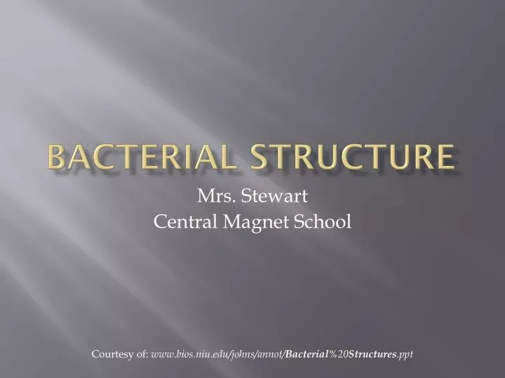 bacterial structure