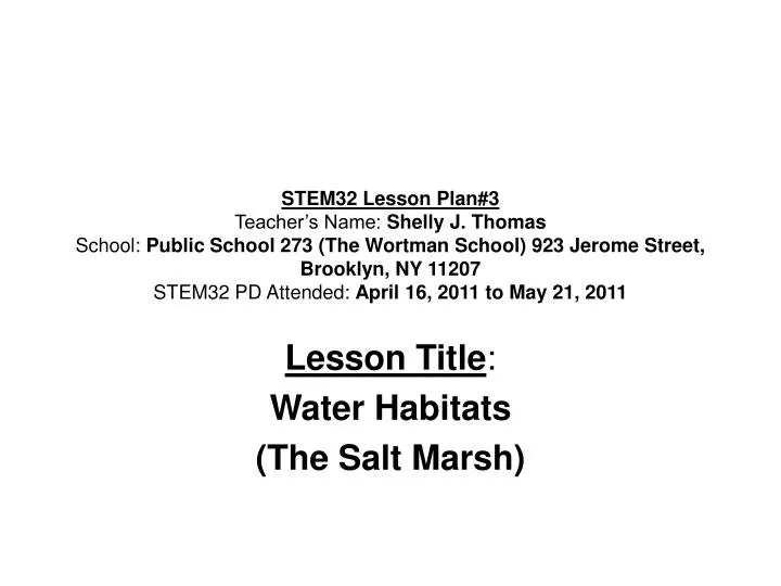 lesson title water habitats the salt marsh