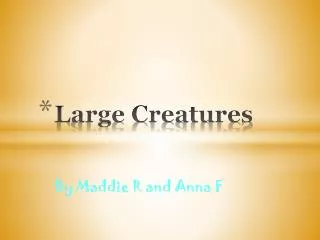 Large Creatures