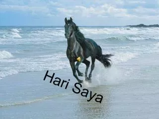 hari saya