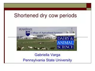 Shortened dry cow periods