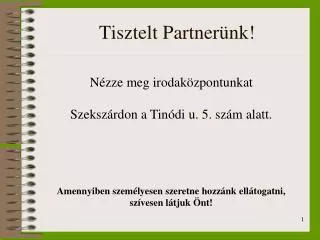 tisztelt partner nk