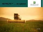 NUTRILITE ™ … at a glance - slide 1
