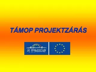 t mop projektz r s