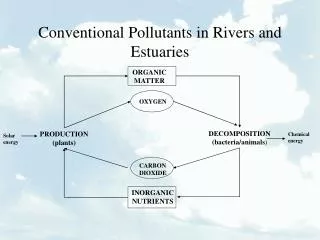 Conventional Pollutants in Rivers and Estuaries