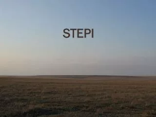 stepi