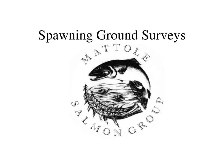 spawning ground surveys