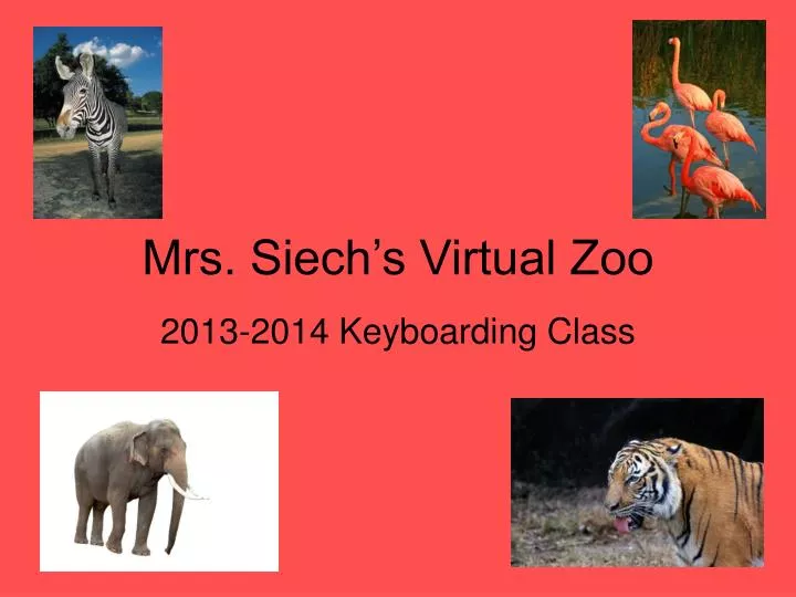 mrs siech s virtual zoo