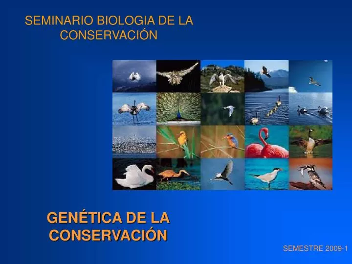 seminario biologia de la conservaci n