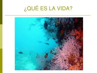 qu es la vida
