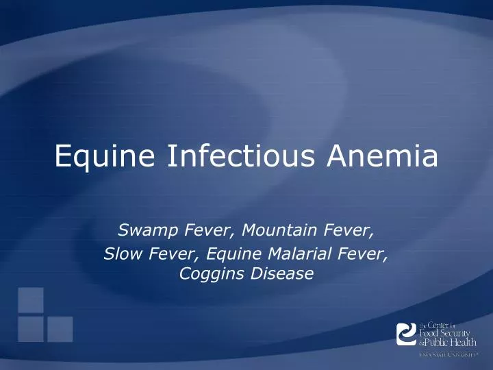 equine infectious anemia