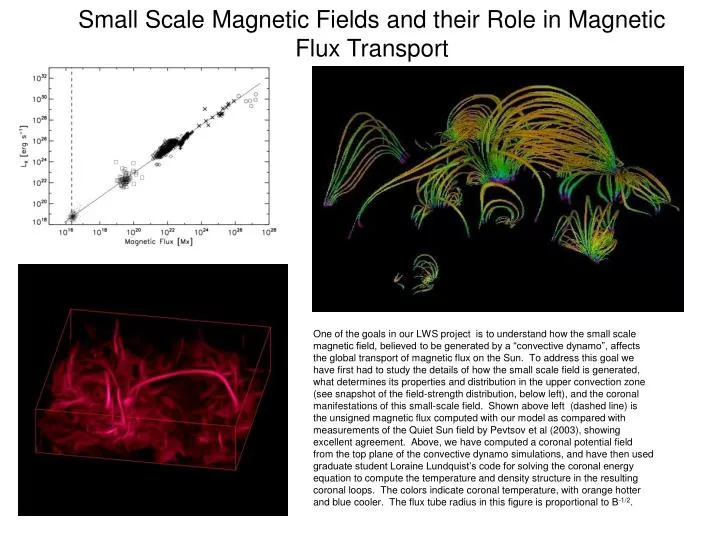 small scale magnetic fields and their role in magnetic flux transport