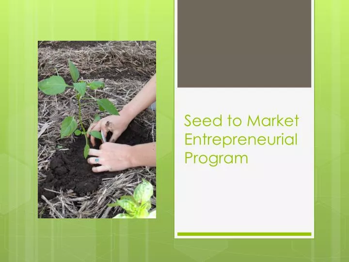seed to market entrepreneurial program