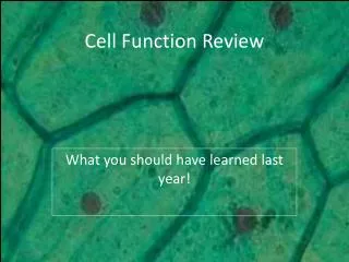 Cell Function Review