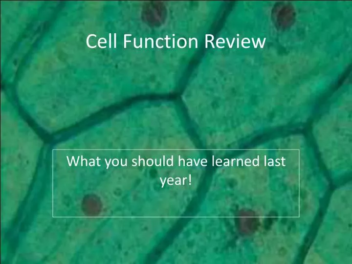 cell function review