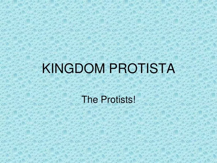 kingdom protista