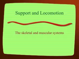 Support and Locomotion