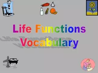 Life Functions Vocabulary