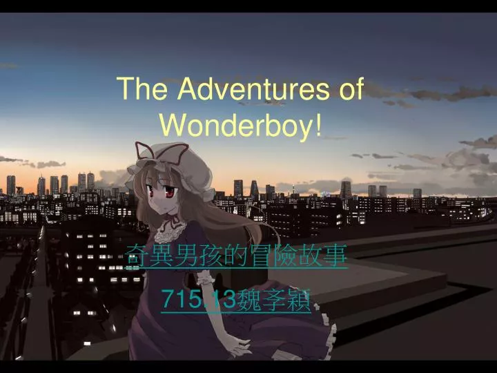 the adventures of wonderboy