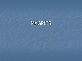 MAGPIES