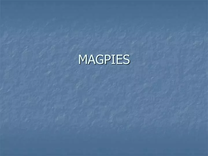 magpies